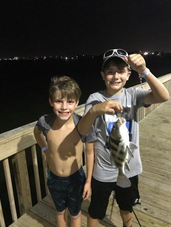 Lee and Joe Jamail Bay Park